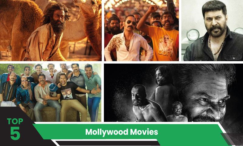 Top 5 Mollywood Movies by 2024